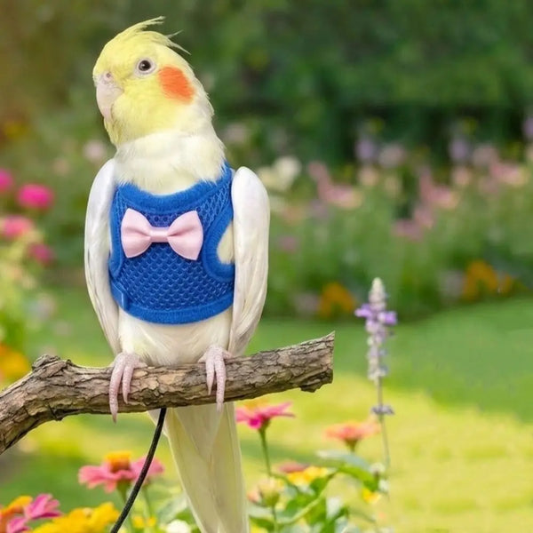 A yellow and white parrot wearing a blue harness and pink bowtie perched on a branch in a garden setting.