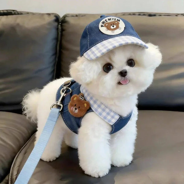 A fluffy white dog wearing a blue and white plaid hat and a matching harness vest with a leash.