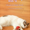 A white and brown cat is playing with a red ball toy on a wooden floor.