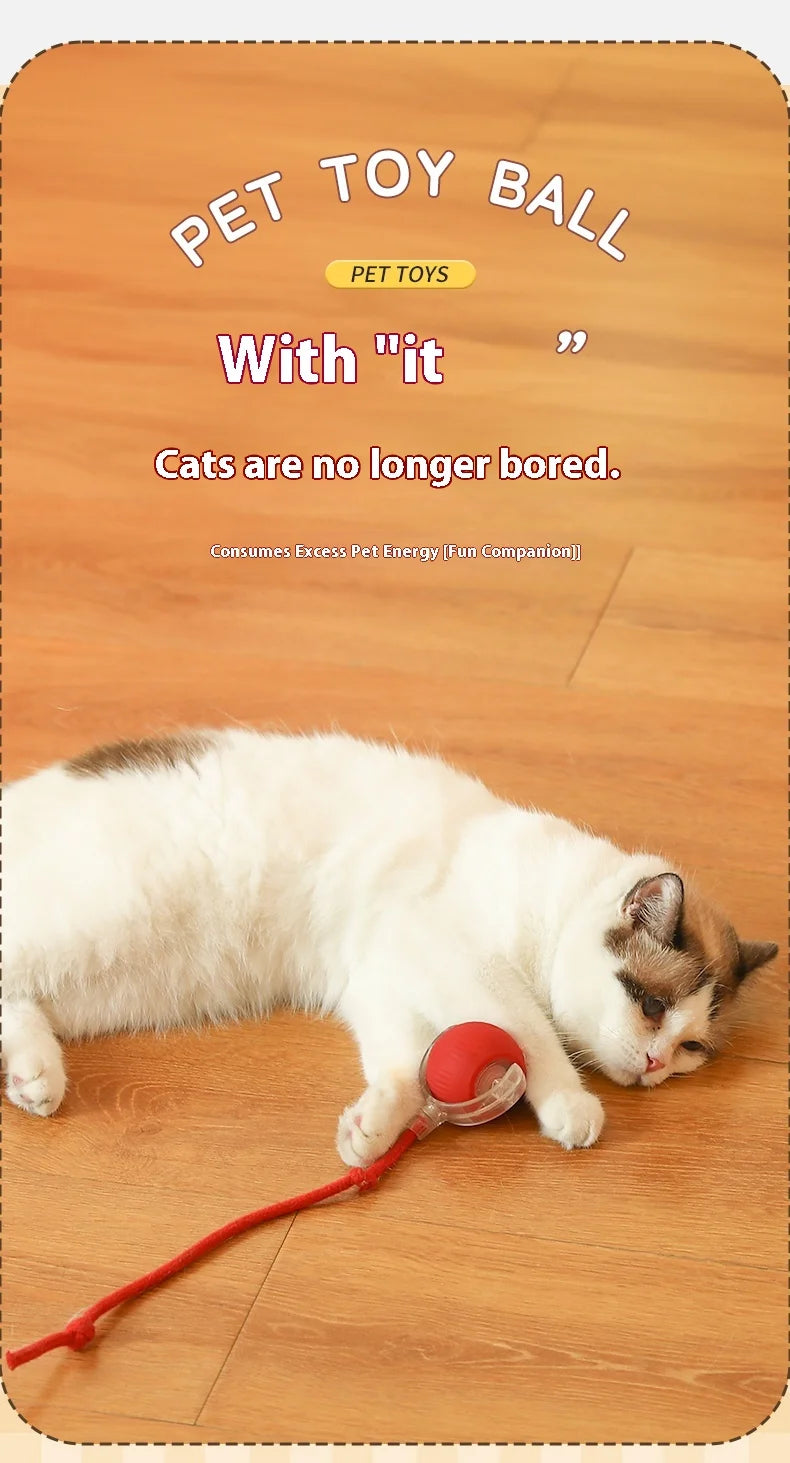 A white and brown cat is playing with a red ball toy on a wooden floor.