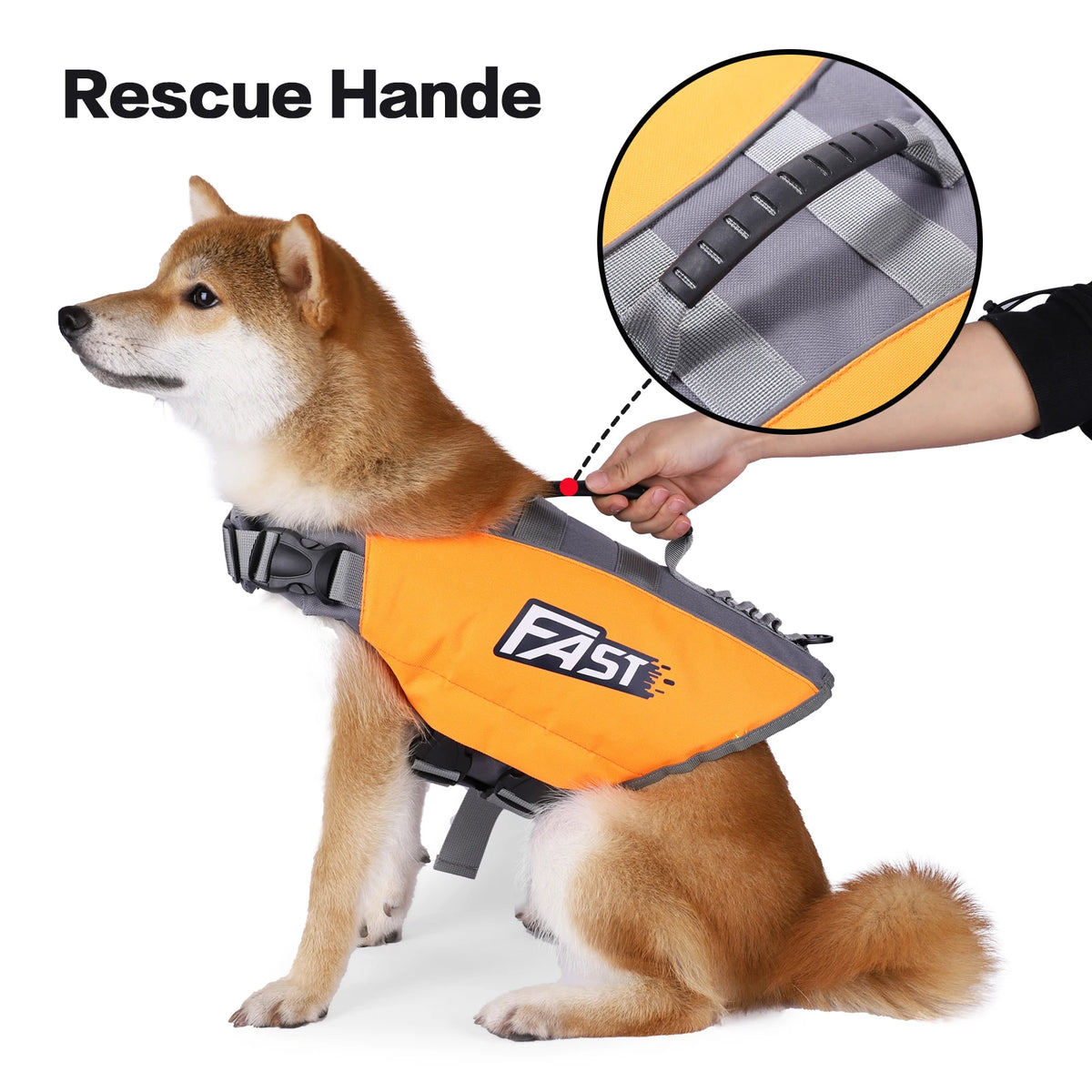 A rescue hand is shown placing a bright orange dog life jacket on a Shiba Inu dog.