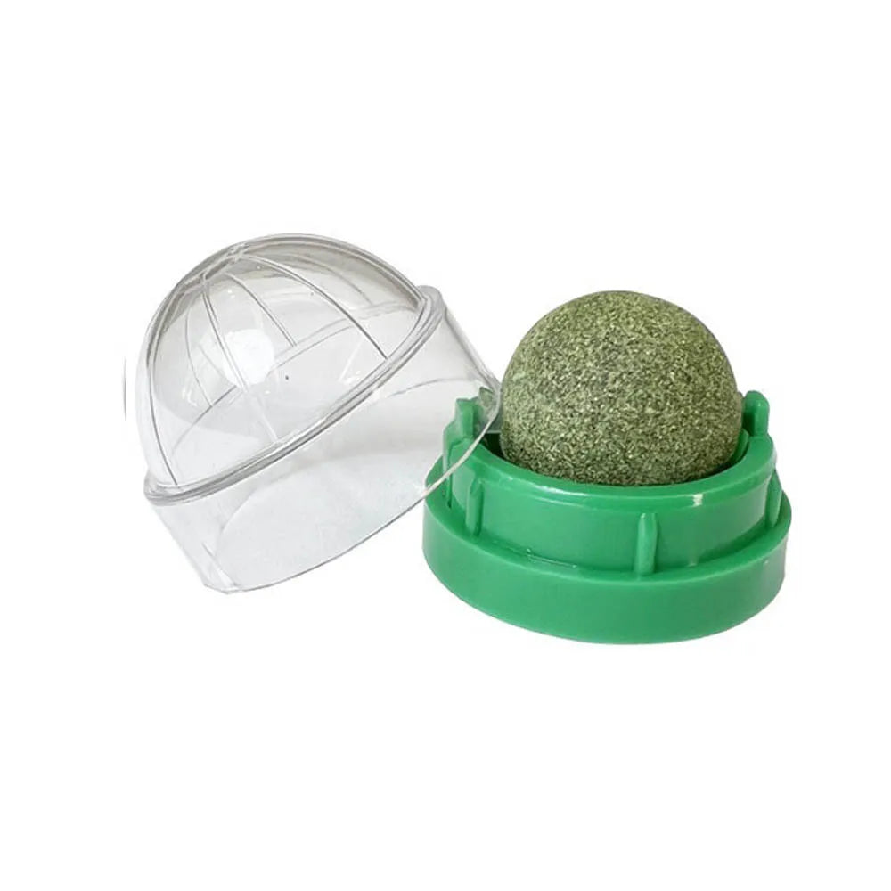 A clear plastic container holding a green spherical catnip toy on a green base.
