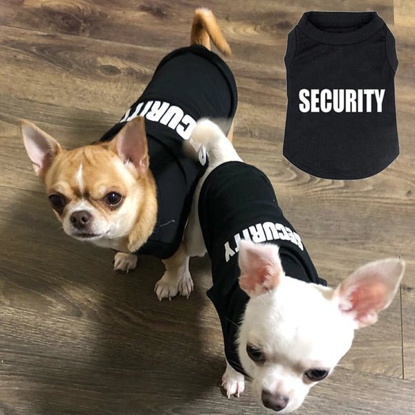 Two small dogs wearing black security vests sitting on a wooden floor.