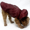 A maroon reflective waterproof dog raincoat lying next to a brown poodle.
