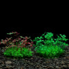 A display of vibrant artificial aquarium plants featuring red and bright green foliage on dark gravel.