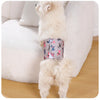 A light-colored dog is wearing reusable washable sanitary pants for male dogs.