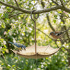 An umbrella-shaped hanging bird feeder with a metal hook is suspended from a tree branch, attracting a small bird.