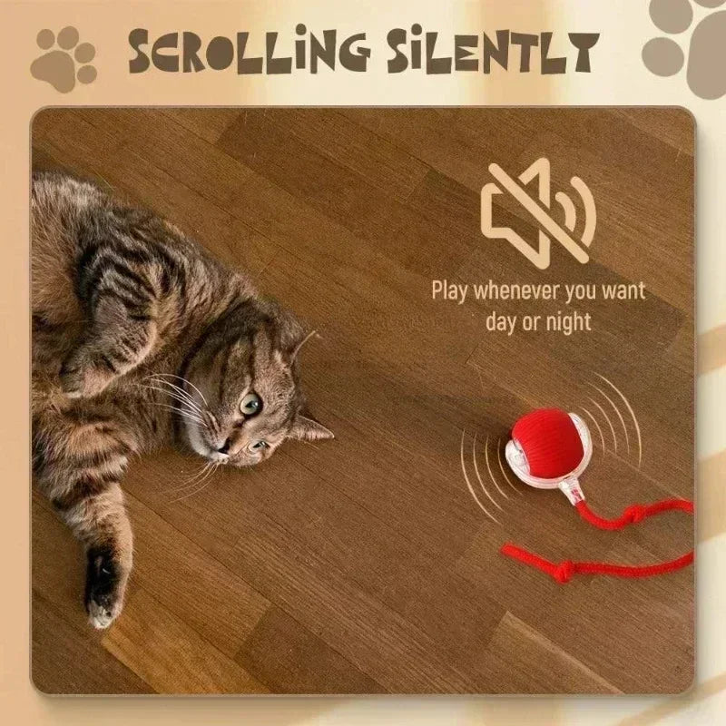 A cat is interacting with an automatic rolling interactive ball for cats.