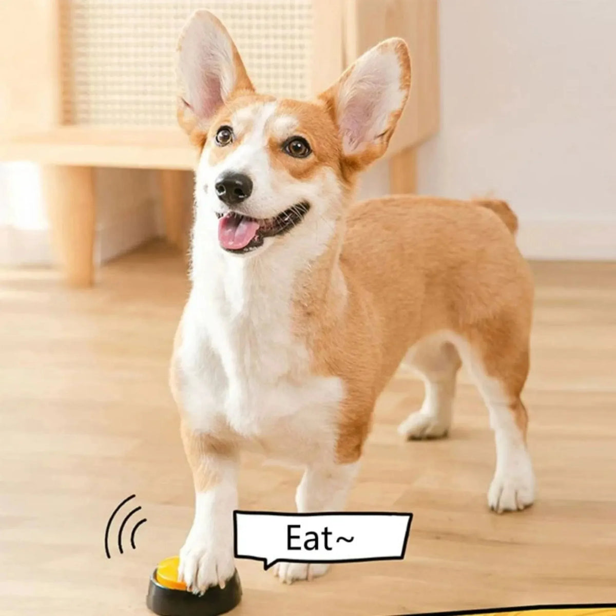A small, light brown and white dog stands on a yellow training button for pet training.