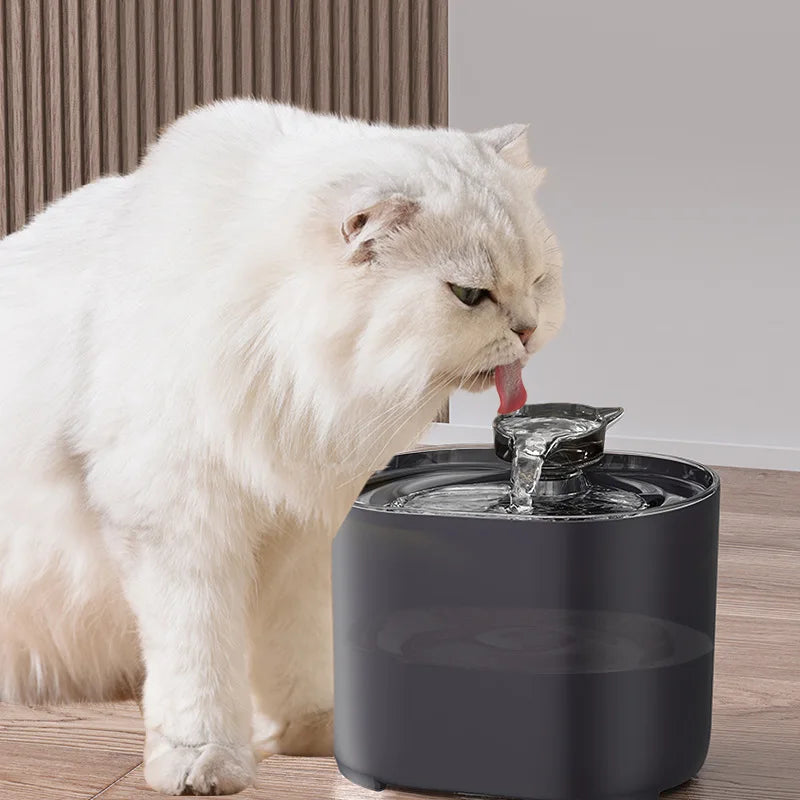 A white cat is drinking water from a modern, dark gray cat water fountain.