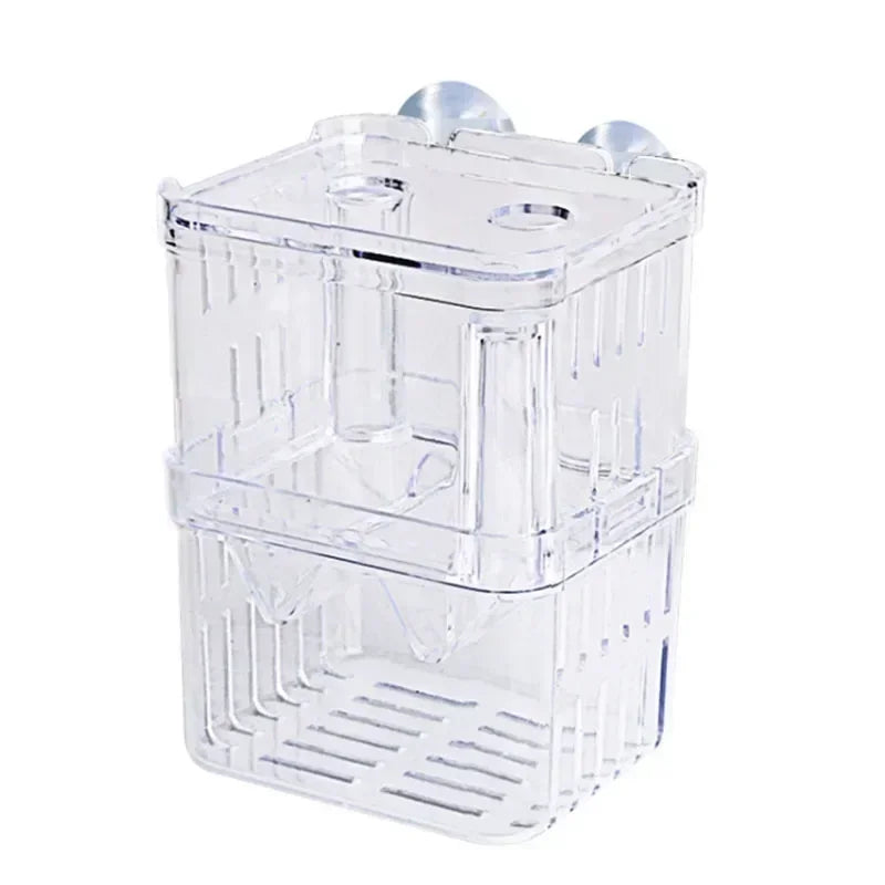 Clear acrylic fish breeding isolation box with a mesh bottom and lid
