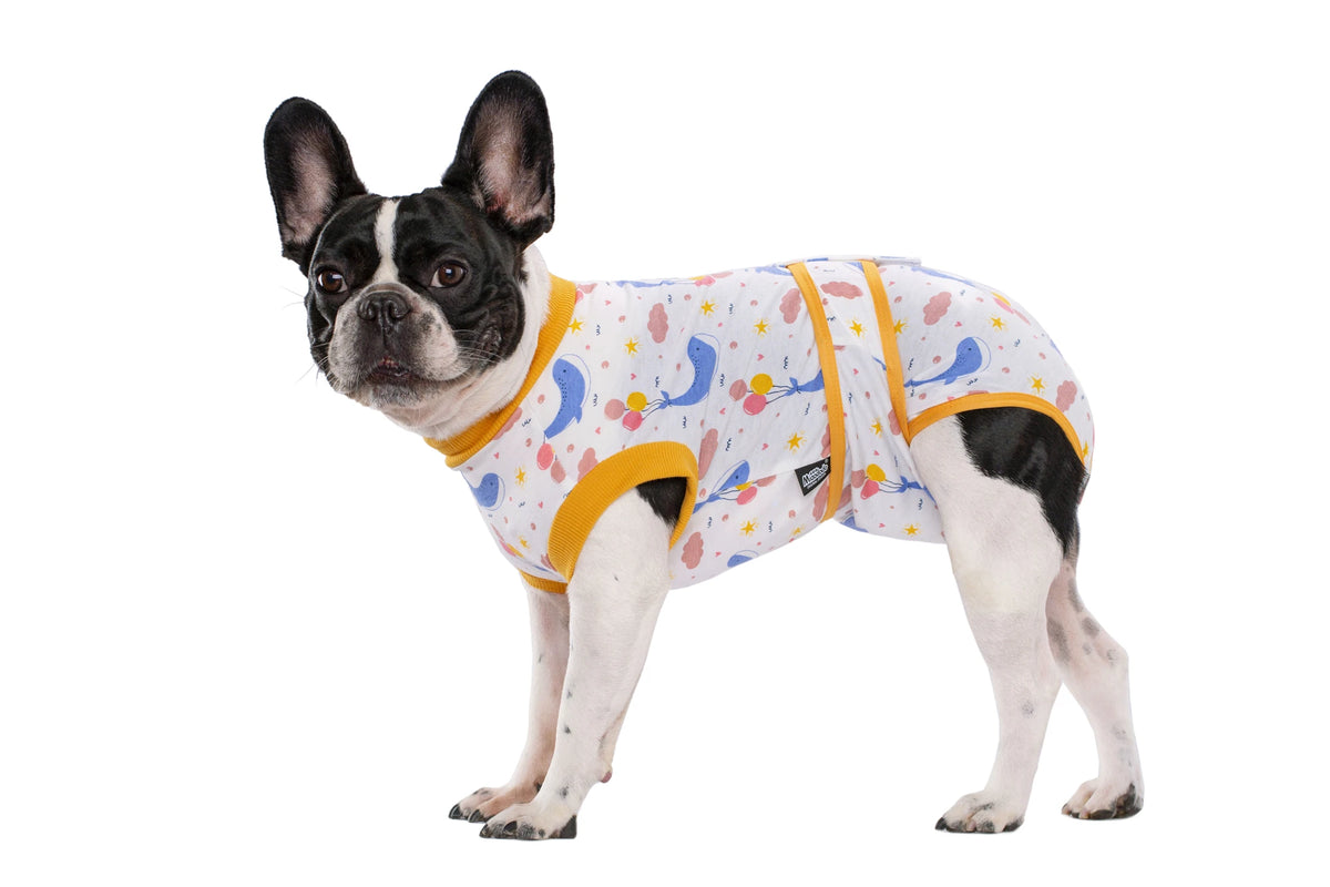 A black and white dog wearing a yellow patterned recovery suit for post-surgery protection.