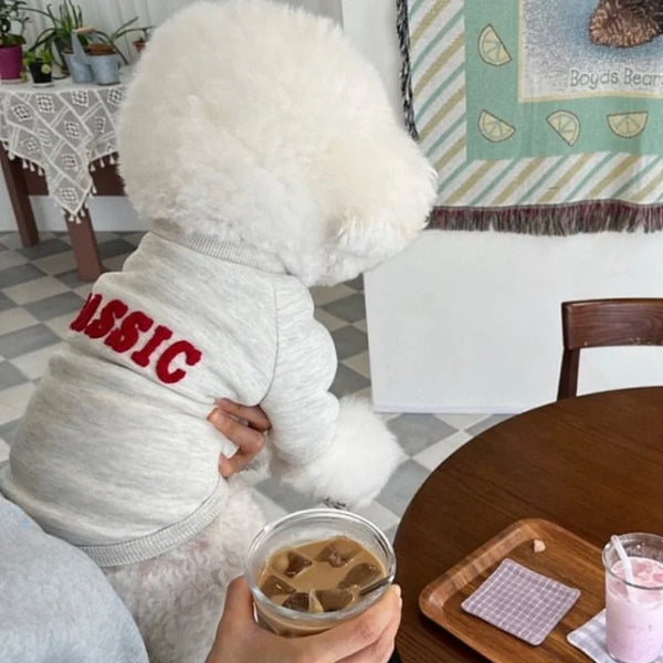 A fluffy white dog hoodie with red lettering is displayed on a wooden table.