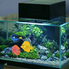 A glass aquarium features artificial tropical fish, including a yellow and an orange-red fish, set against a natural landscap