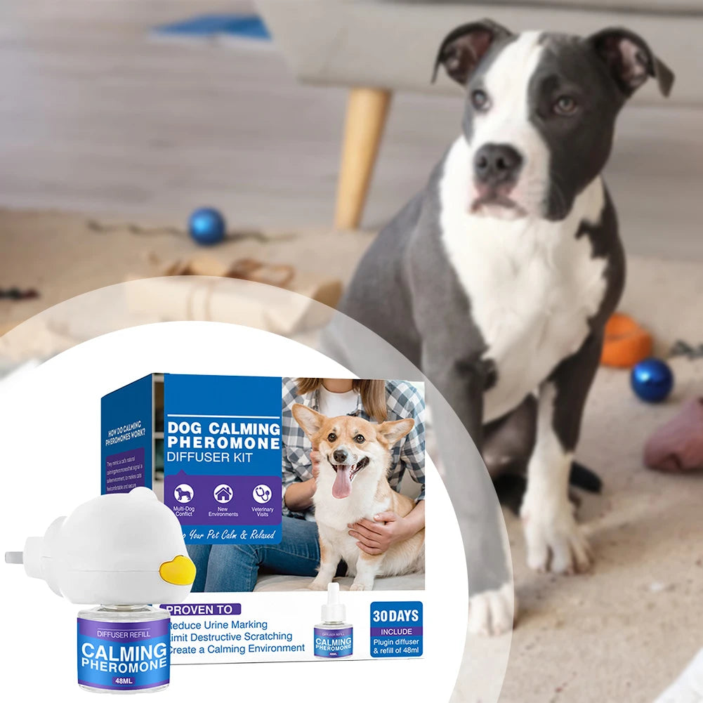 Ein Hund steht neben einer Box für einen Dog Calming Pheromone Diffuser und einer Flasche Beruhigendes Pheromon.