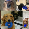 A collage showing various spiky blue squeaky dog chew toys being used by dogs.
