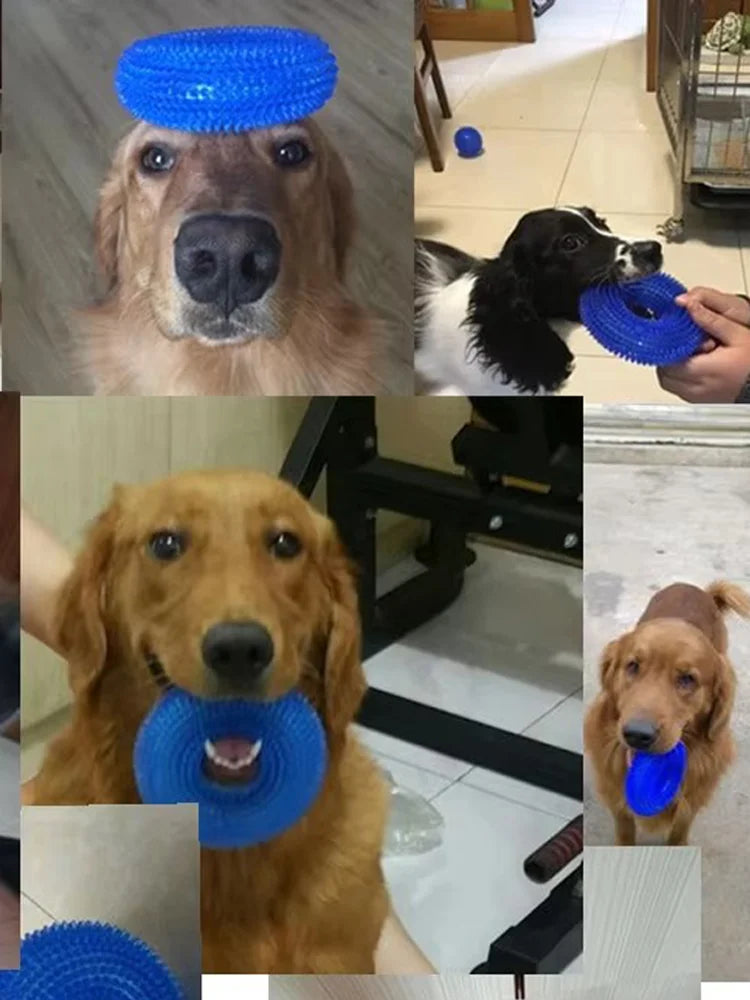 A collage showing various spiky blue squeaky dog chew toys being used by dogs.