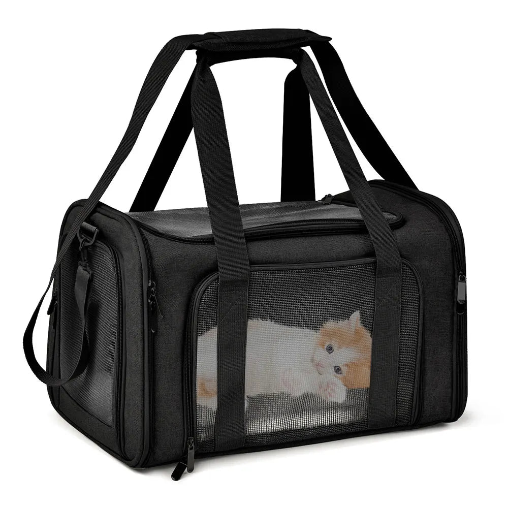 Black travel pet carrier bag with a mesh window showing a small orange and white kitten.