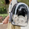 A person is holding a transparent pet carrier backpack with a white cat inside, set against an outdoor greenery background.