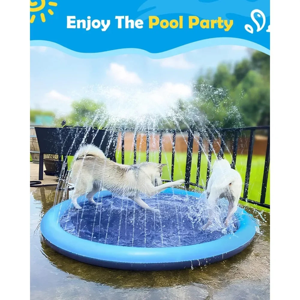 A dog is playing in a blue splash pad filled with water outdoors on a sunny day.