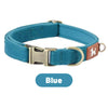 A teal dog collar with a silver buckle and a brown patch on the strap.
