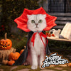 A white cat wearing a red vampire cape and collar costume set sitting outdoors near pumpkins.