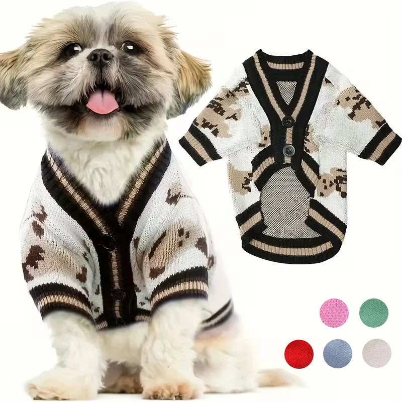 Ein kleiner Hund trägt einen gestrickten Pullover mit schwarz-weißen Mustern.