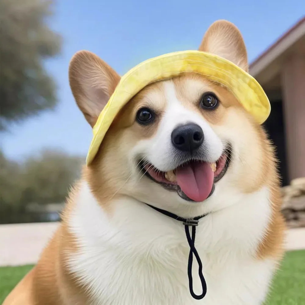 A happy Shiba Inu dog wearing a yellow sun hat with ear holes.