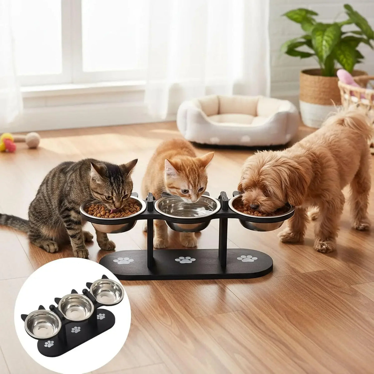 Schwarze, verstellbare Katzenfutterschale mit mehreren Edelstahlschalen zum Füttern von Katzen.