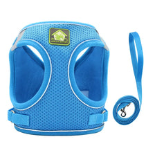 Blue adjustable mesh dog harness with a reflective strip and attached leash