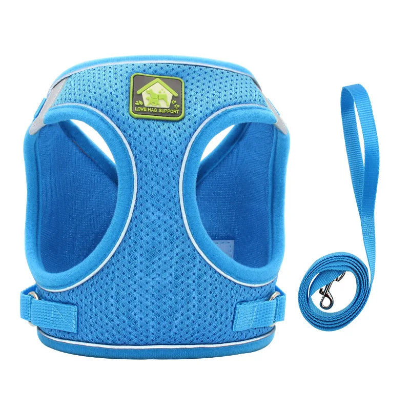 Blue adjustable mesh dog harness with a reflective strip and attached leash