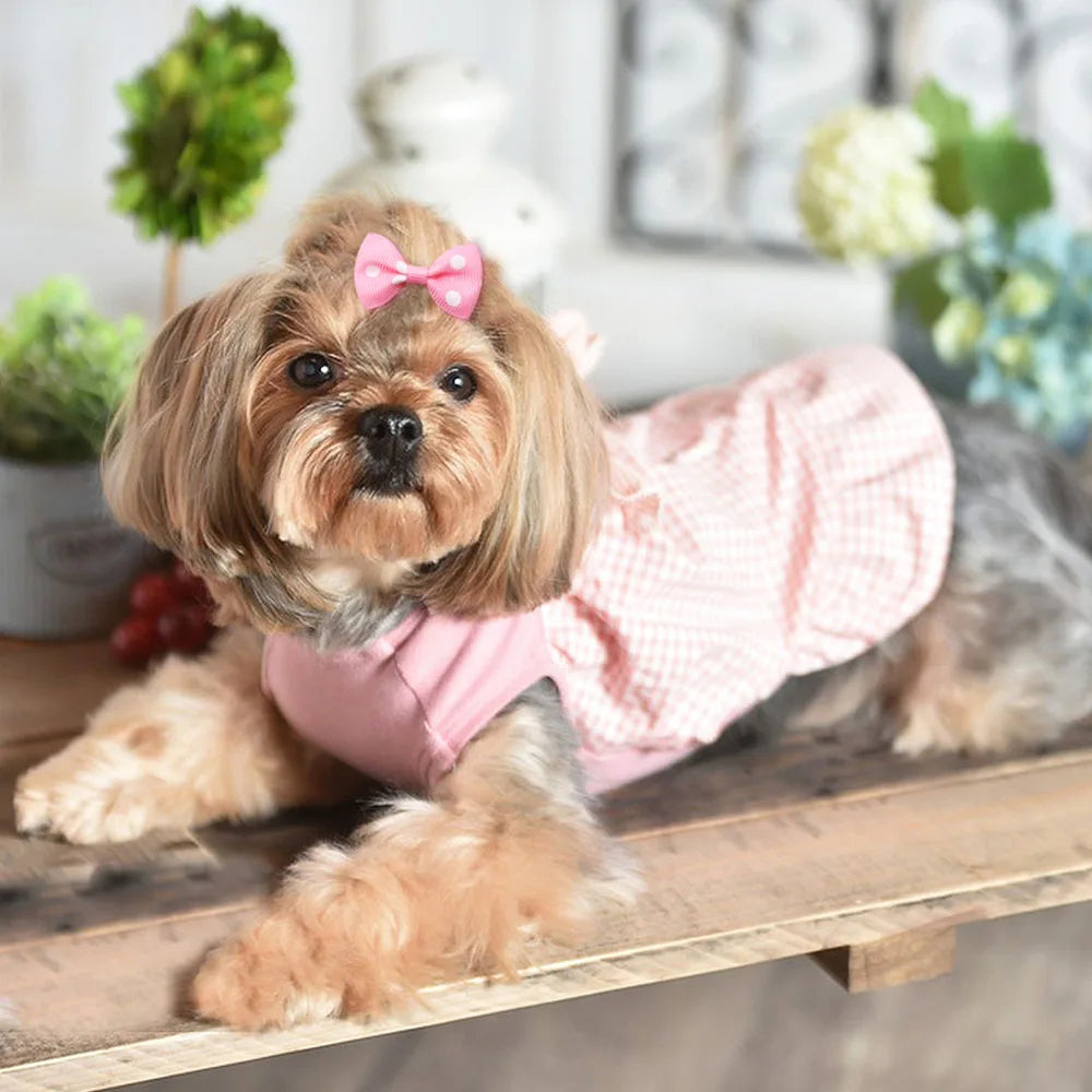 A small, fluffy dog wearing a pink polka dot bow accessory.