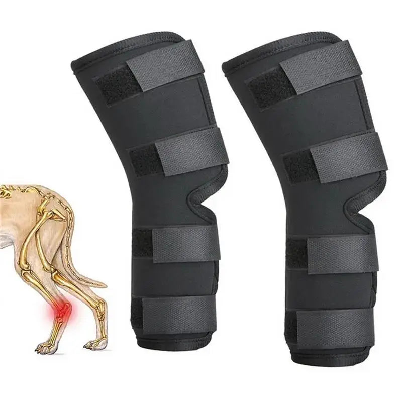 Correas de apoyo para la rodilla negras para perros mostradas junto a un modelo de pata canina.