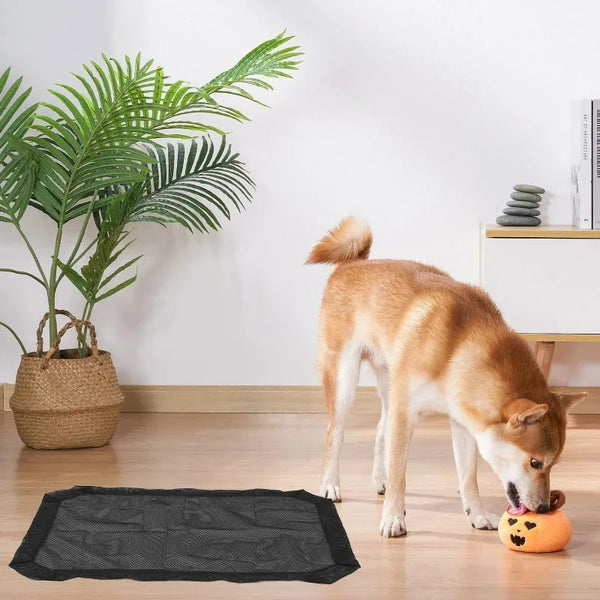 A light brown dog sits on a wooden floor next to a black mesh pet bed cover and a small orange chew toy.