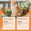 An orange and white cat sits next to a potted succulent plant, with text highlighting gentle formula and easy application.