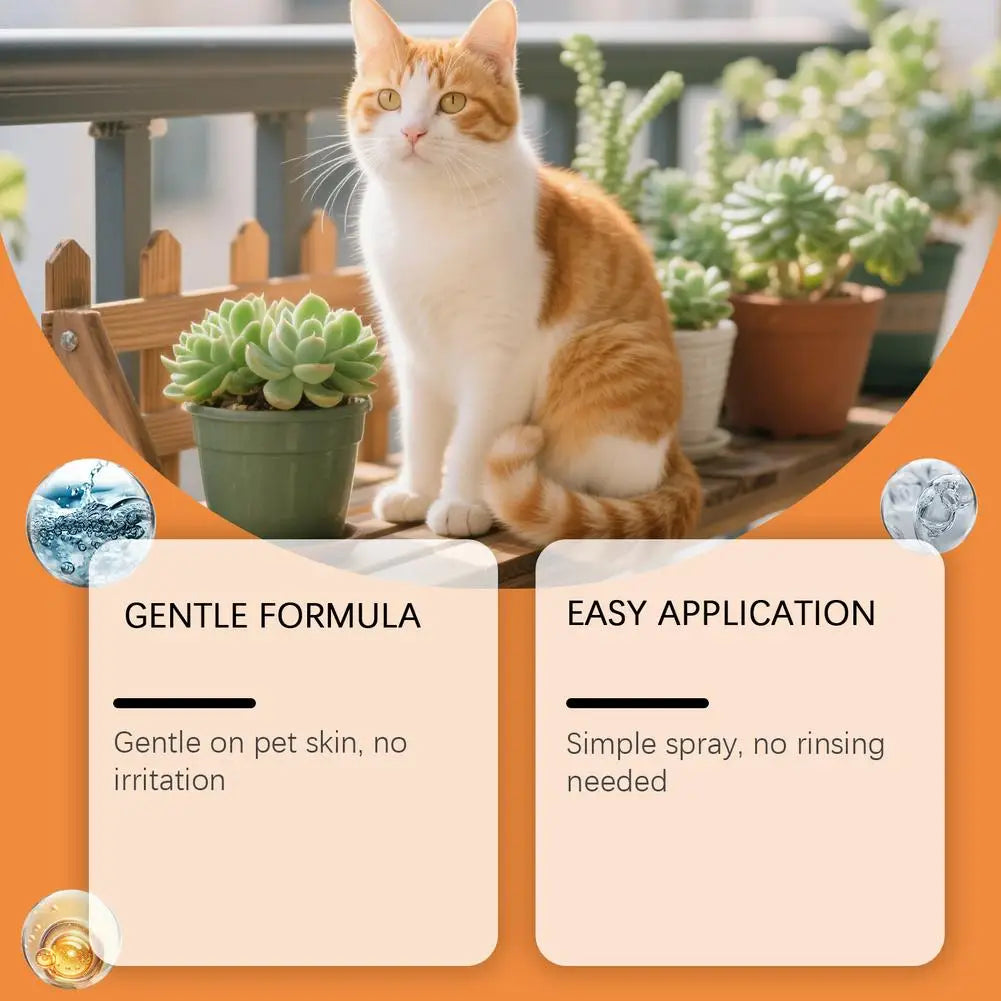 An orange and white cat sits next to a potted succulent plant, with text highlighting gentle formula and easy application.