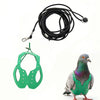 Grüner Papageihalter und Leine-Set mit schwarzem Seil und Metallclip.