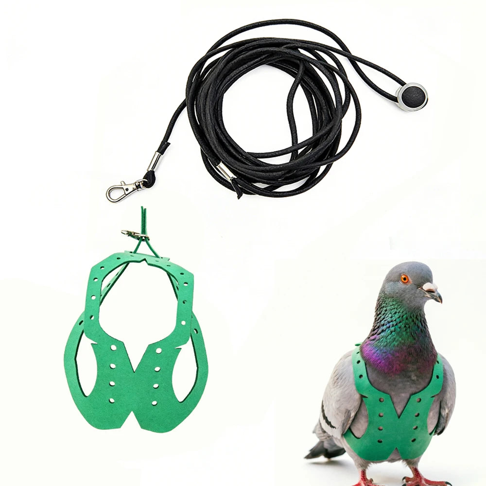 Grüner Papageihalter und Leine-Set mit schwarzem Seil und Metallclip.