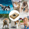 Collage de diverses serviettes en microfibre ultra-absorbantes pour chiens et chats.