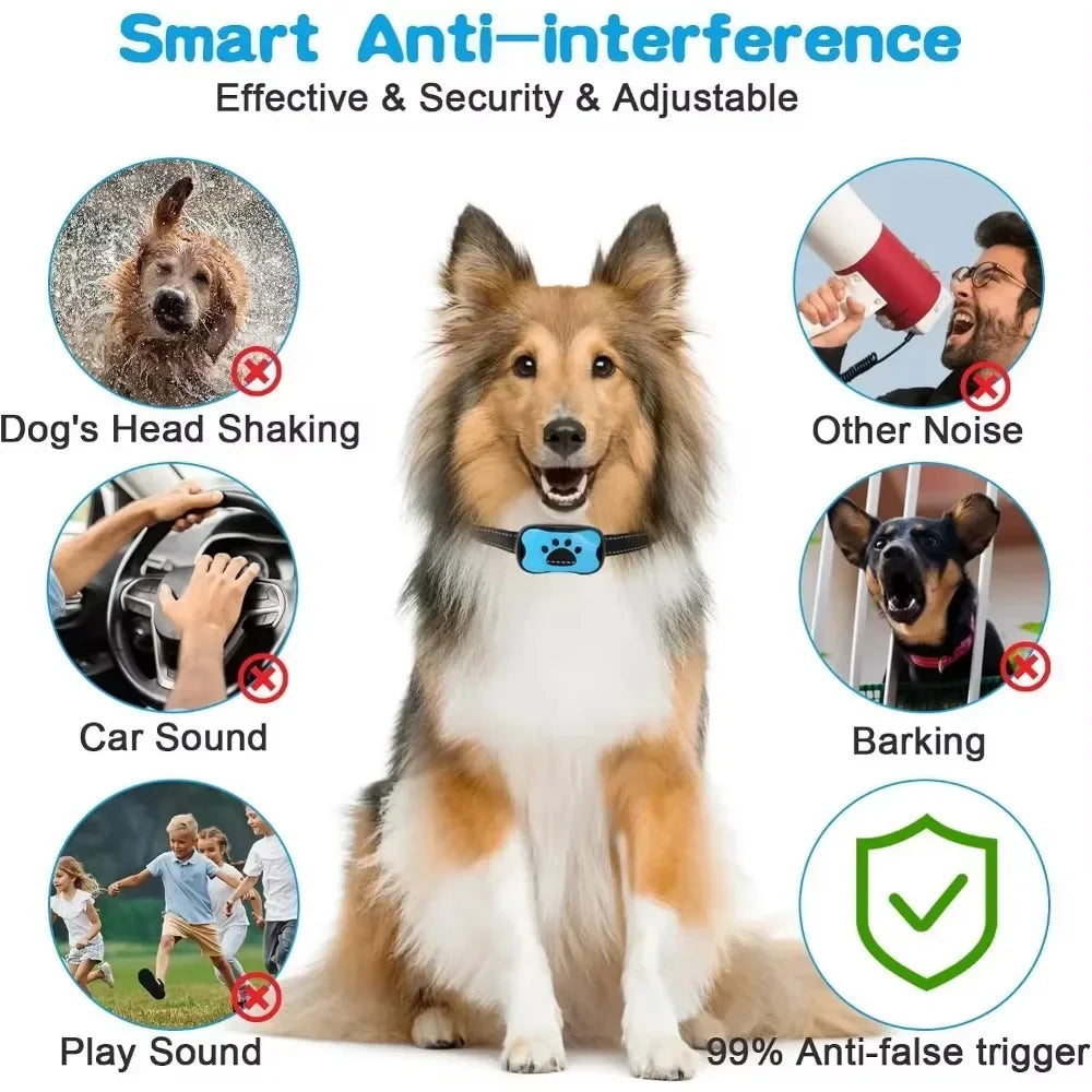 A dog wearing a smart anti-interference bark collar is shown with various features highlighted.