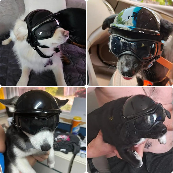 A black pet safety helmet and goggles set is shown on a dog's face.