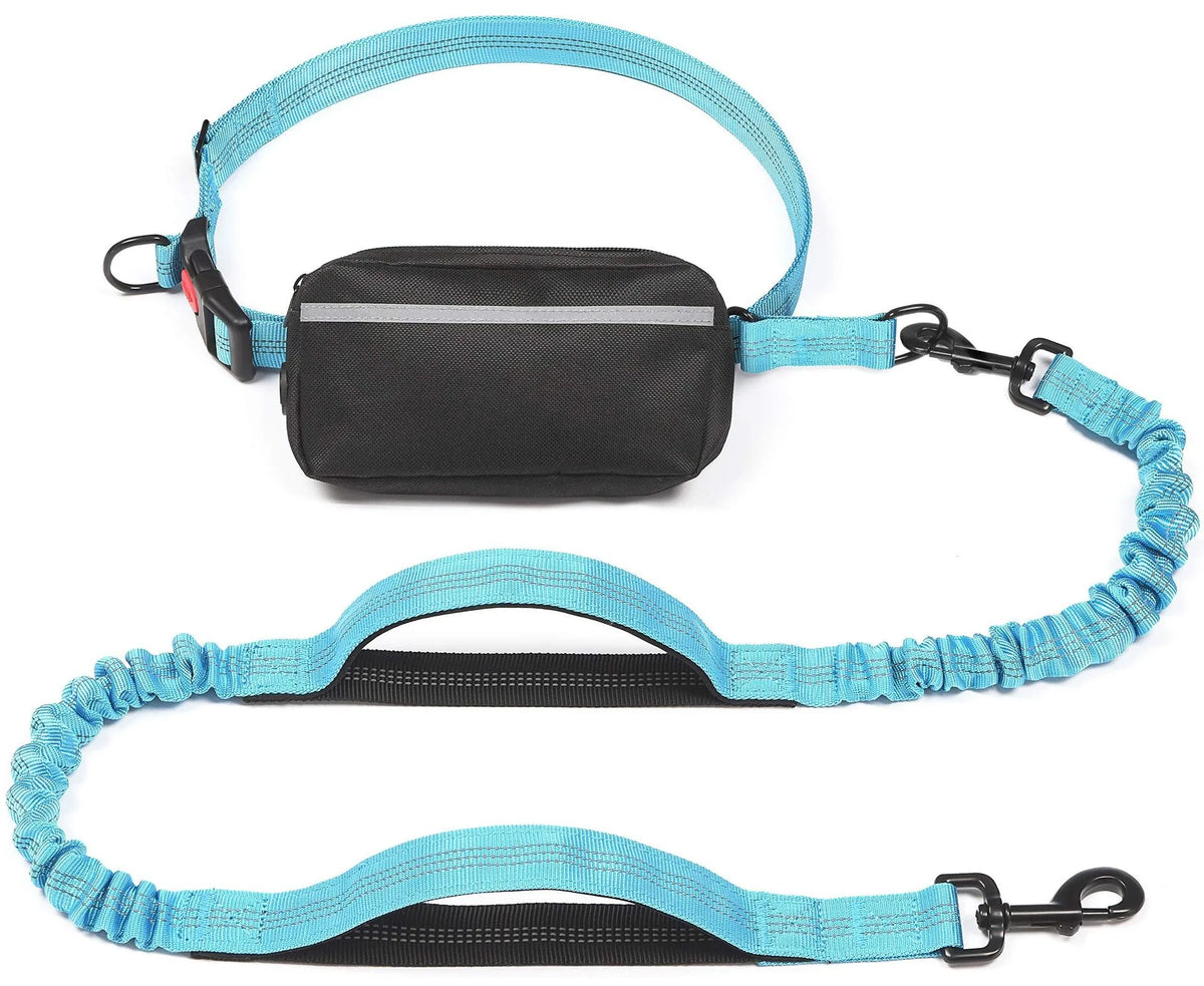 Blau-schwarze, ausziehbare Bungee-Leine mit schwarzem Reißverschlussbeutel am Halsband.