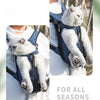 Un chat blanc et duveteux porte un sac à dos pour animaux bleu et respirant.
