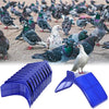 Ein Set aus 20 blauen Tauben- und Pfauen-Ruheplätzen für die Vogelzucht.