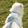 A white cat wearing a light blue animal walking harness and leash set
