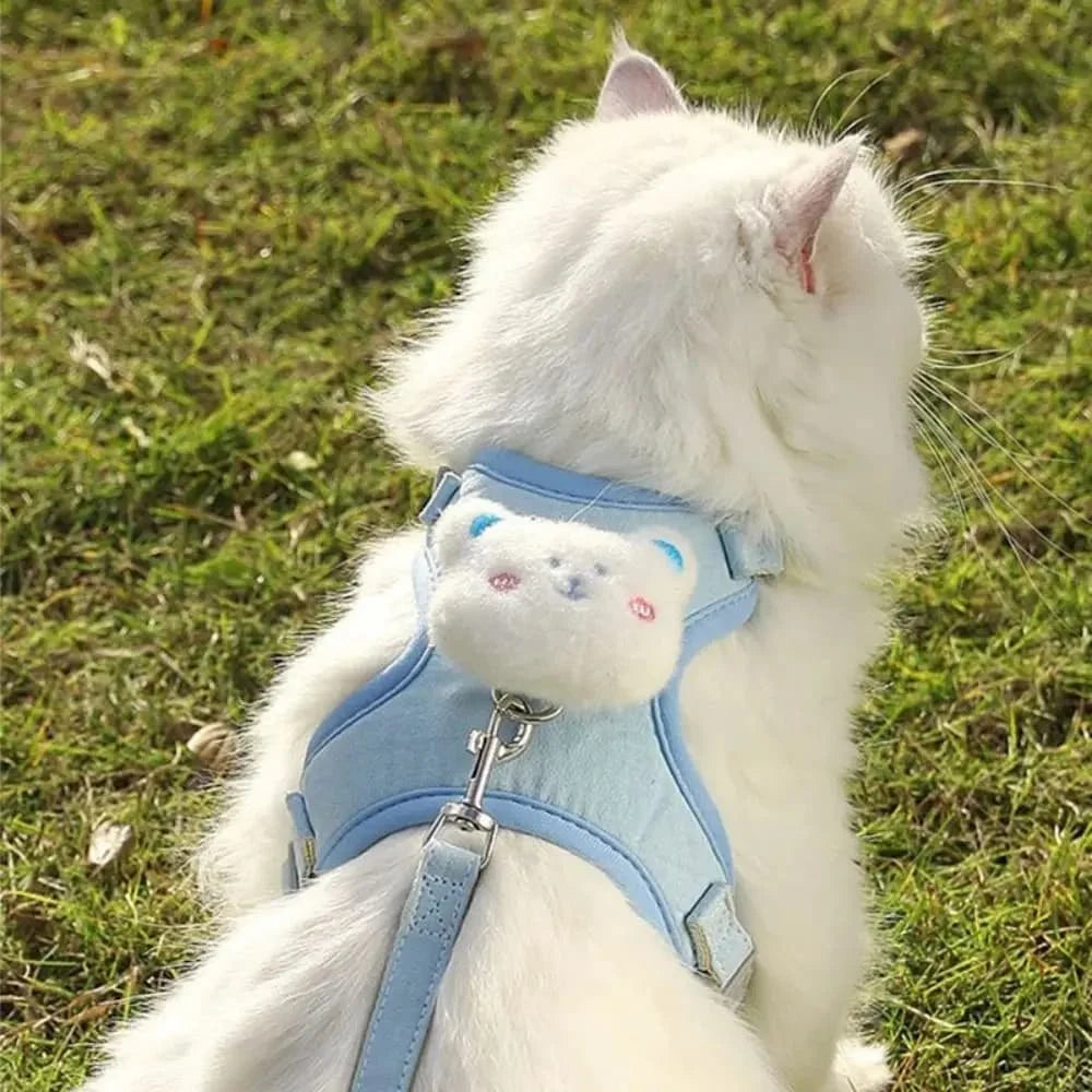 A white cat wearing a light blue animal walking harness and leash set