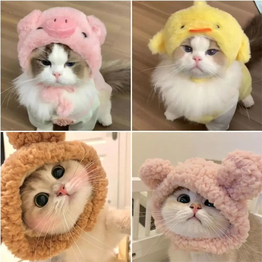 Collage von Katzen mit lustigen Strickmützen in rosa, gelber und brauner Farbe