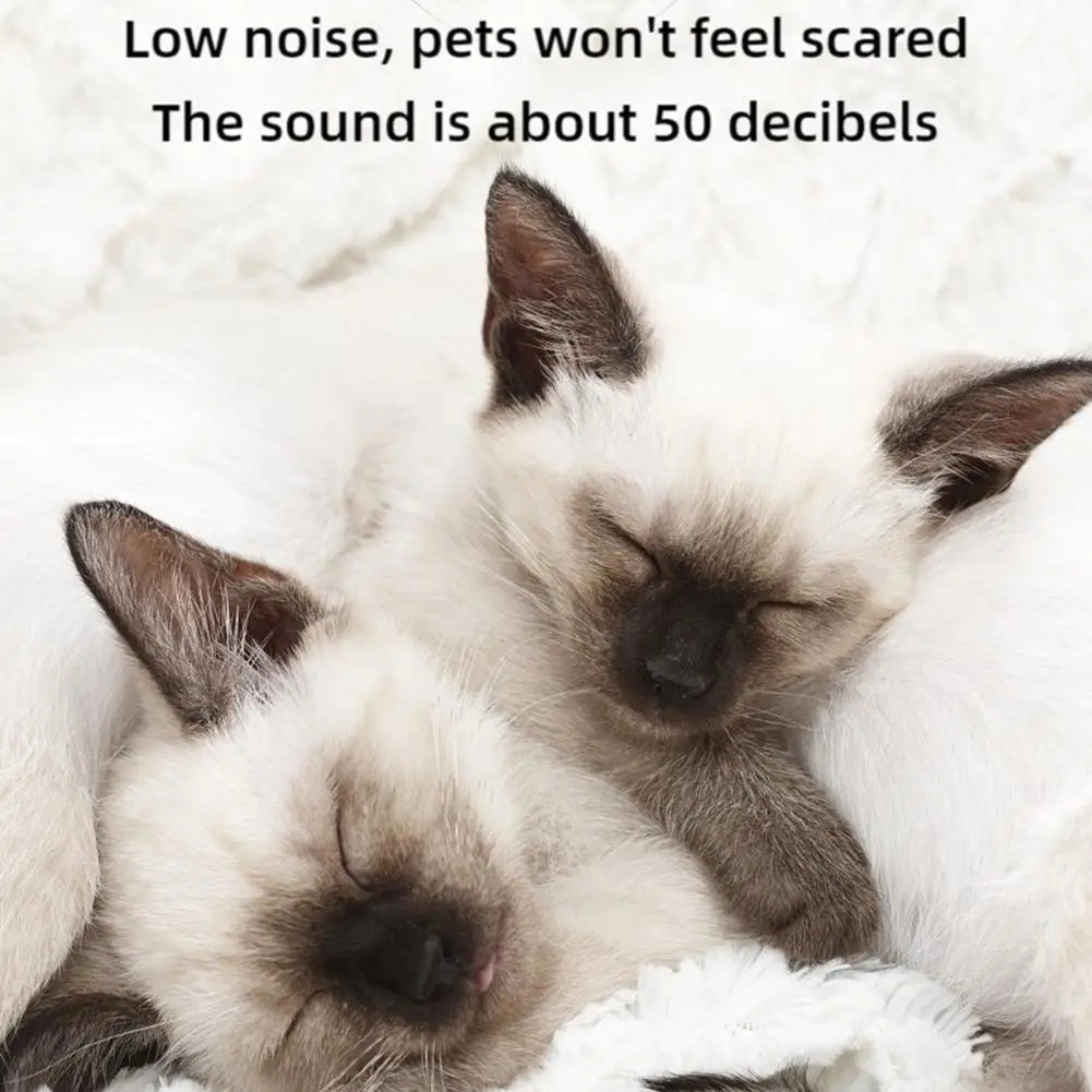 Dos gatitos pequeños durmiendo sobre pelaje blanco con un nivel de sonido bajo.