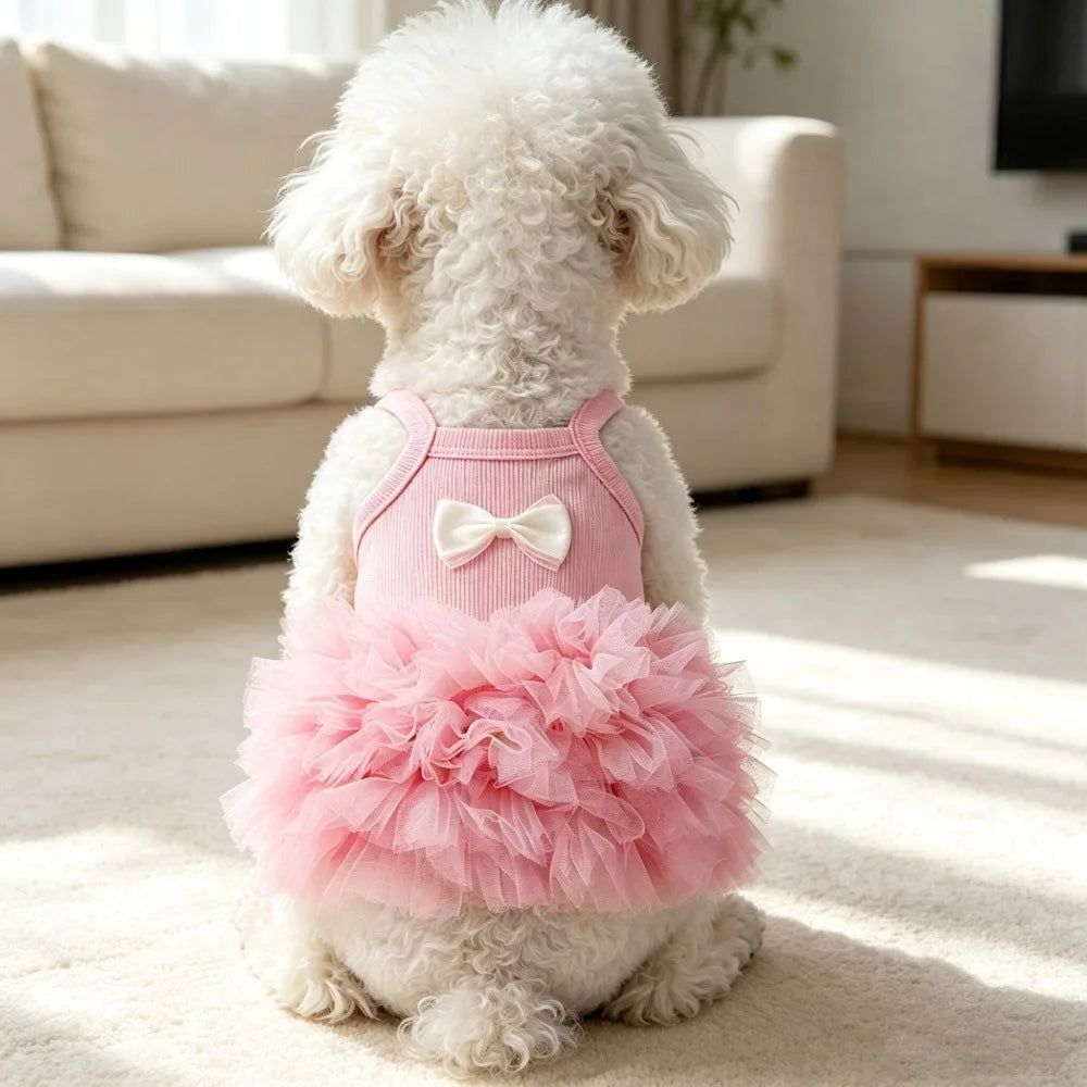 A fluffy white dog wearing a pink suspender tutu dress sitting on a light carpet.