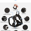A black reflective dog harness showing various features like a metal D-ring, fabric, and adjustment system.
